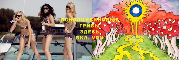 тгк Аркадак